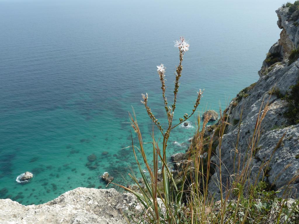 Fiori E Limoni Bed & Breakfast Quartucciu Exterior photo